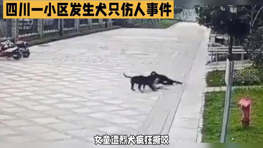 新奥今晚开一肖一特讲解词语和7岁男孩遭3只犬撕咬与7岁男孩遭3只犬撕咬怎么办