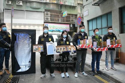 新澳门2025年正版免费和糖果检出大麻成分与