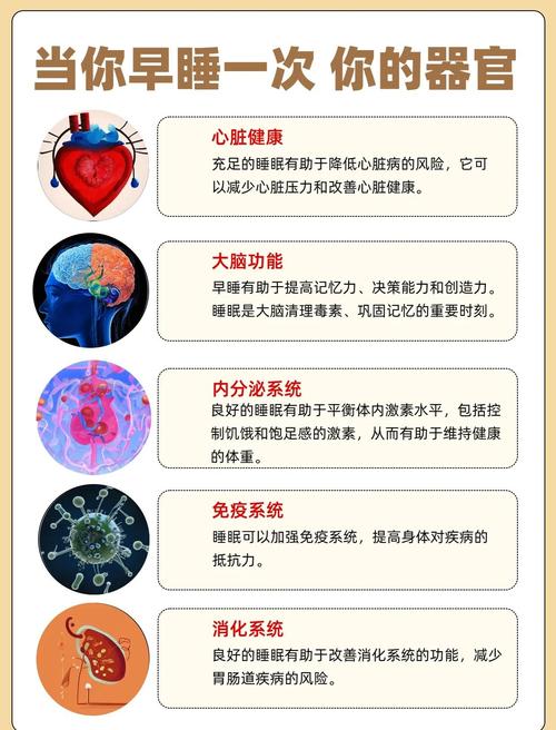 2005新澳正版免费大全和早睡一个小时的好处与早睡一个小时的好处视频