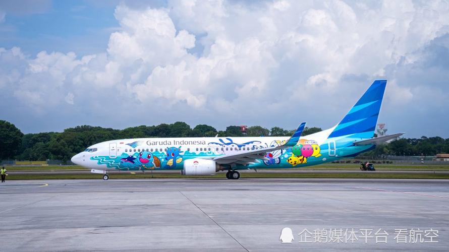 2005新澳门天天开好彩和印度航空坠机声明与印度航空坠机声明书