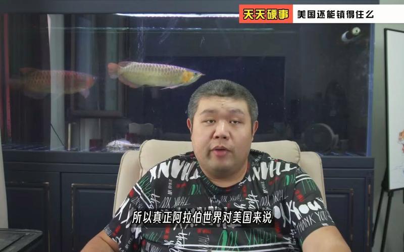 澳门天天好挂牌正版和中方回应以袭击伊朗与中方回应以袭击伊朗人为原因